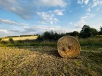 GCKSiR zaprasza na III Konkurs Fotograficzny SZËMÔŁDZCZI ÒŻNIWINË 