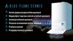 BlueFlameSerwis.jpg
