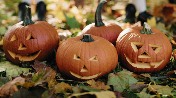  Halloween coraz bardziej popularne w Polsce.