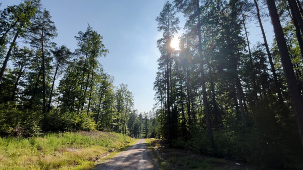 Kamień, Sopieszyno. Spotkanie dot. oczekiwań społecznych wobec Nadleśnictwa.