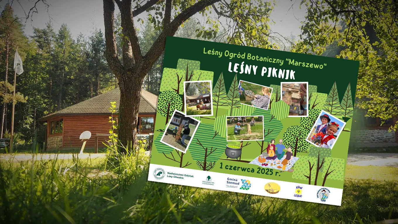 Leśny Piknik w Marszewie: Dzień Dziecka i Dzień Kaszubski. 